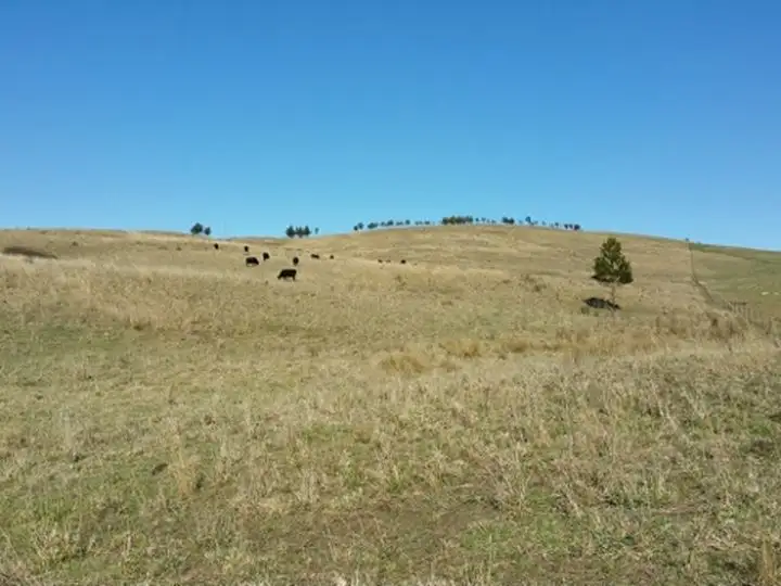 Fourth view of Homely rural property listing, 101 Longview Road BIGHILL, Big Hill NSW 2579