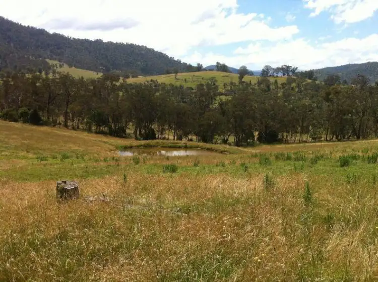 Fourth view of Homely rural property listing, The Knob Kings Road, Dargo VIC 3862