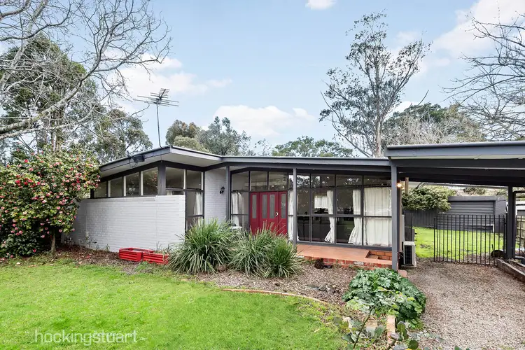 91 Warrandyte Road, Langwarrin VIC 3910