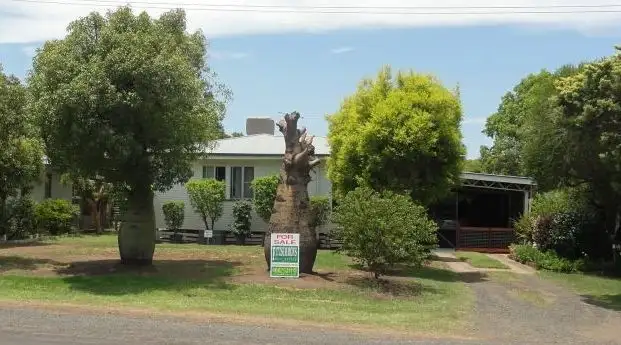 Main view of Homely house listing, 24 Wyley Street, Dalby QLD 4405