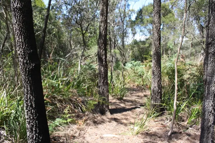 Second view of Homely land listing, Lot 12 Rubicon Rise Subdivision, Port Sorell Main Road, Port Sorell TAS 7307