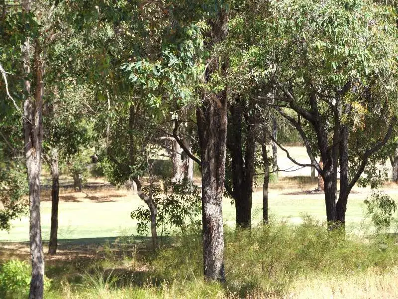 Main view of Homely land listing, 31 Leschenaultia, Donnybrook WA 6239