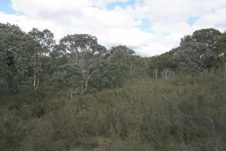 Seventh view of Homely land listing, 308 Widgiewa Rd, Carwoola NSW 2620