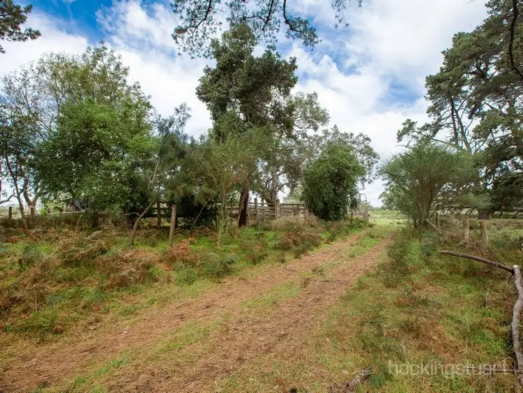 Third view of Homely house listing, 385 Limestone Road, Boneo VIC 3939