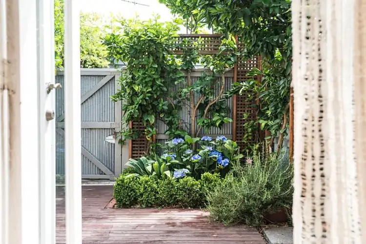 Fourth view of Homely house listing, 17 Herbert Street, Albert Park VIC 3206
