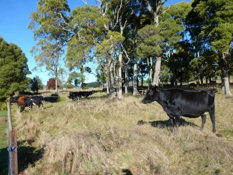 Third view of Homely house listing, 33317 Tasman Highway, Legerwood TAS 7263