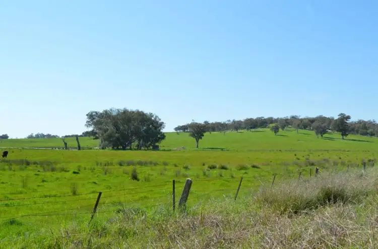 Fifth view of Homely rural property listing, Gayfer Road, Springhurst VIC 3682