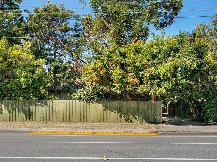 Fifth view of Homely house listing, 238 Middleborough Road (Opposite Clarice Rd), Blackburn South VIC 3130