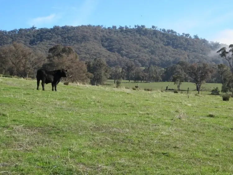 Third view of Homely rural property listing, Address available on request