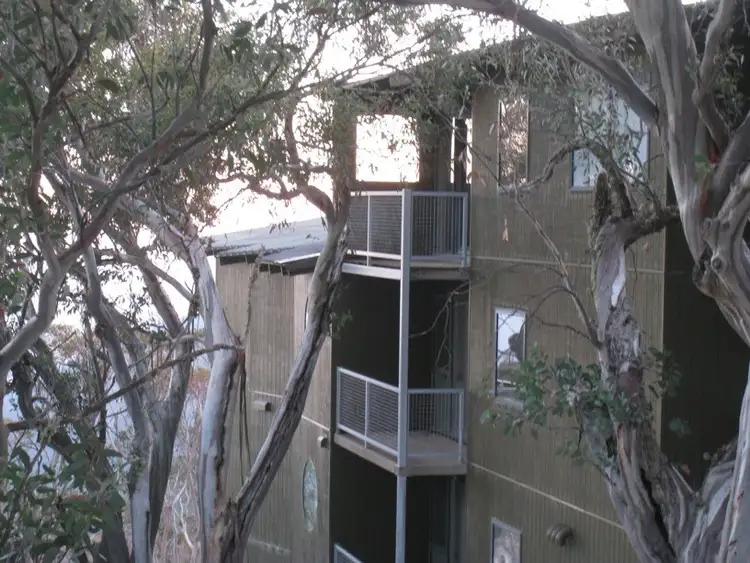 Third view of Homely apartment listing, 16/10 Chamois Road, Mount Buller VIC 3723