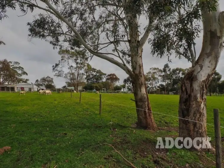 Sixth view of Homely house listing, 37 Marianna Street, Echunga SA 5153
