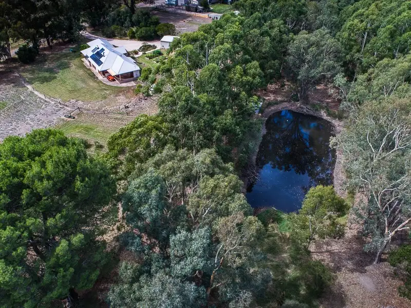 Main view of Homely house listing, 13 Walters Road, Oakbank SA 5243