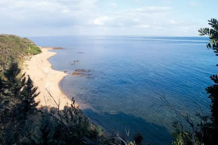 Fifth view of Homely house listing, 433 Balcombe Rd, Beaumaris VIC 3193