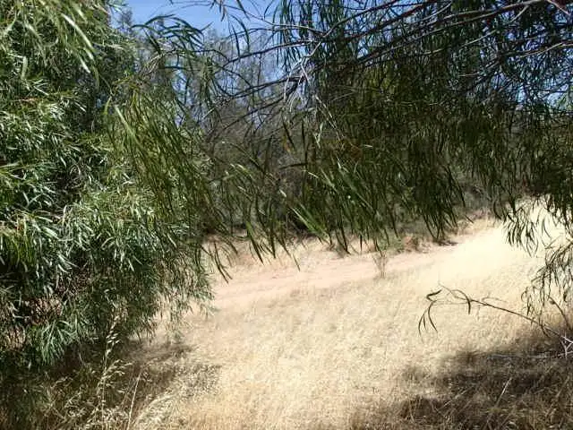 Third view of Homely land listing, 29 Hamersley Street, Beverley WA 6304