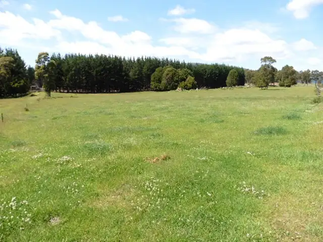 Main view of Homely rural property listing, * Ten Mile Track, Scottsdale TAS 7260