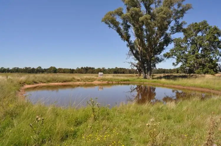 Fifth view of Homely rural property listing, 596 Cope Road, Gulgong NSW 2852