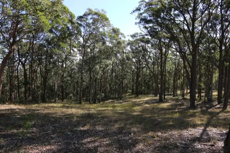 Third view of Homely land listing, 625 Duns Creek Road, Duns Creek NSW 2321