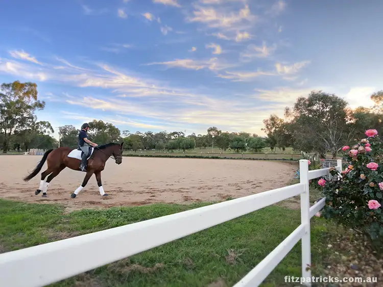 8 Norman Duck Drive, San Isidore NSW 2650