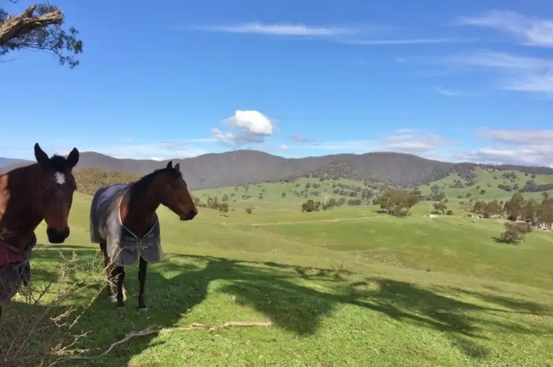 Main view of Homely land listing, 2096 Mansfield Woods Point Road, Macs Cove VIC 3723