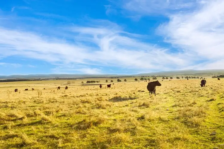 Second view of Homely land listing, LOT 4 - 14, 1620 Windellama Road, Goulburn NSW 2580