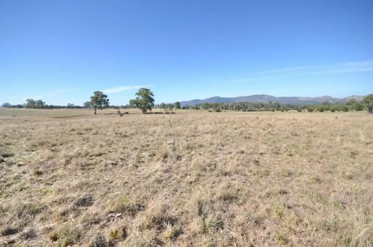Third view of Homely rural property listing, 263 Mount Battery Road, Mansfield VIC 3722