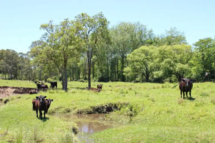 Fourth view of Homely rural property listing, 1265 Dungog Road, Dungog NSW 2420