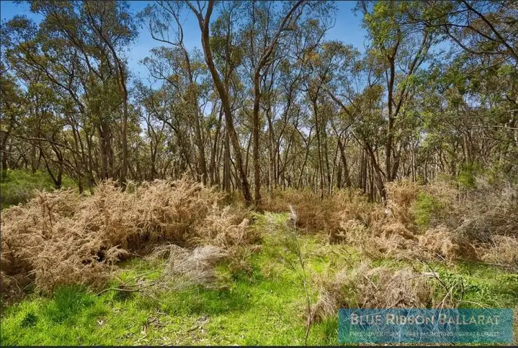 Main view of Homely land listing, 41 Fourteenth Street, Hepburn VIC 3461