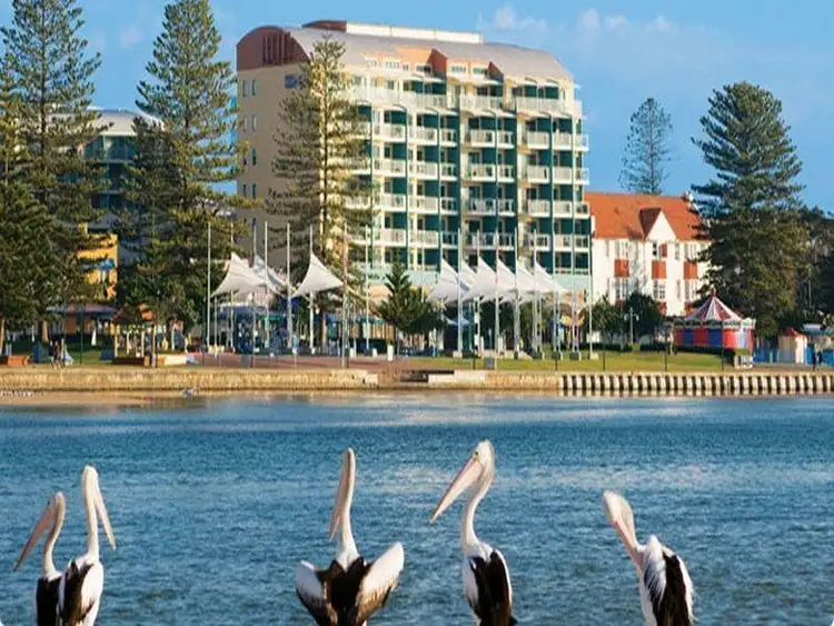 Address available on request