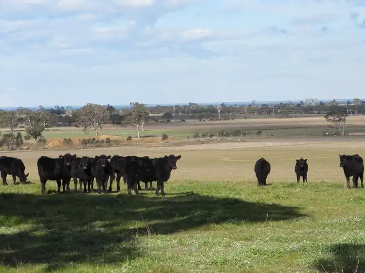 Main view of Homely land listing, 859 Stratford-Bengworden Road, Perry Bridge VIC 3862