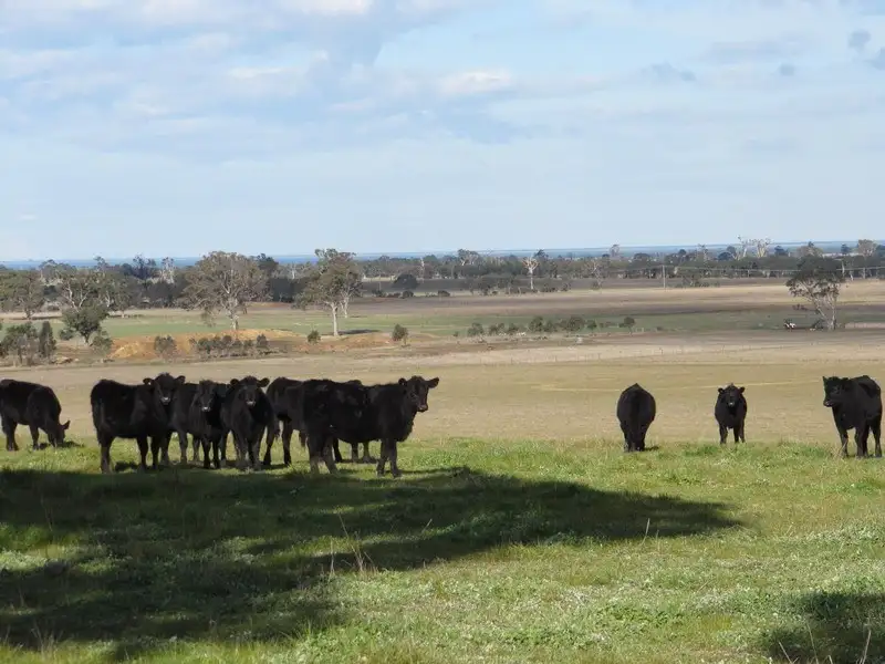 Main view of Homely land listing, 859 Stratford-Bengworden Road, Perry Bridge VIC 3862