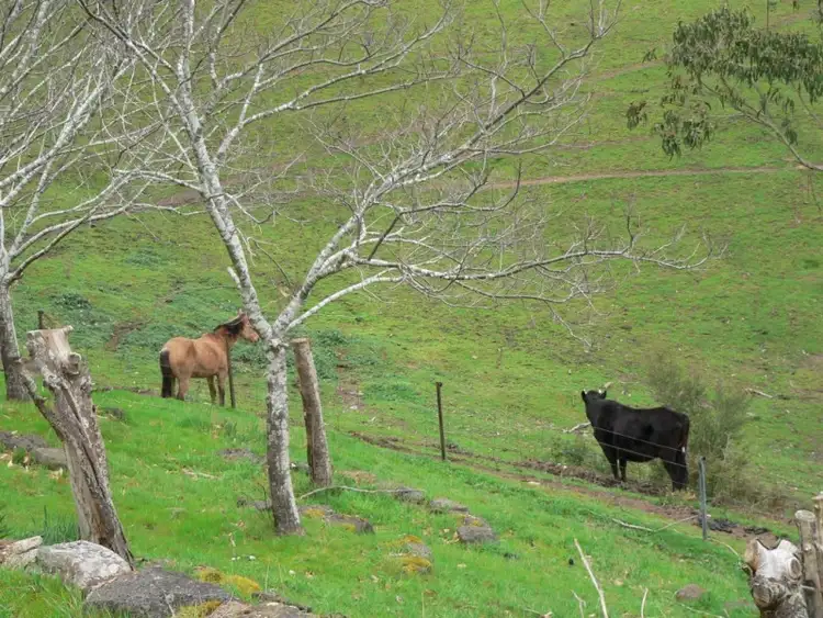 Second view of Homely house listing, 3953 Whittlesea Yea Road, Flowerdale VIC 3717
