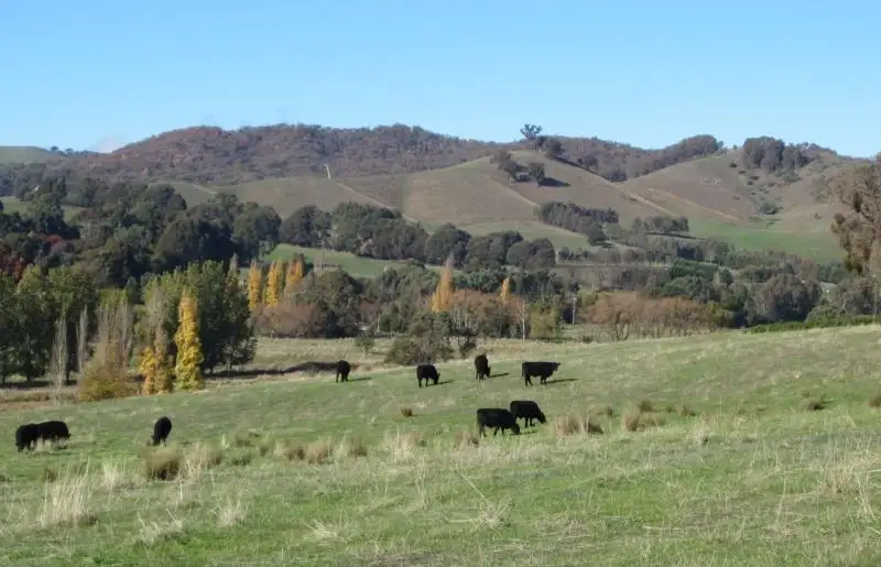 Main view of Homely rural property listing, Address available on request