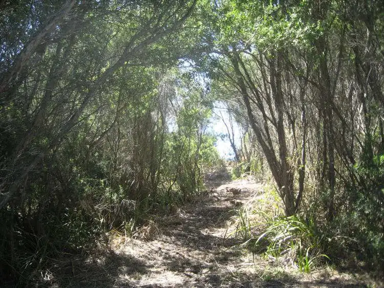 Third view of Homely land listing, 294 Melbourne Road, Blairgowrie VIC 3942