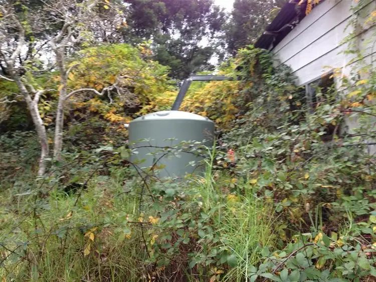 Seventh view of Homely land listing, 1809 Monaro Highway, Noorinbee VIC 3890