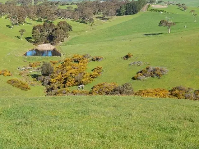 Third view of Homely rural property listing, Lot 2 Stockwell Rd, Inman Valley SA 5211