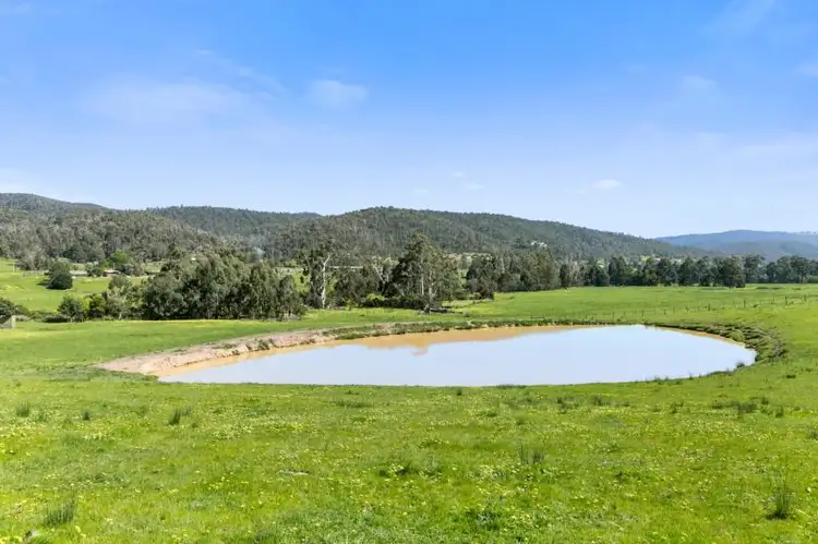 Seventh view of Homely land listing, 550 Steels Creek Road, Steels Creek VIC 3775