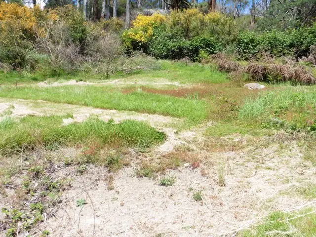Fifth view of Homely land listing, 6 Allan Street, Derby TAS 7264