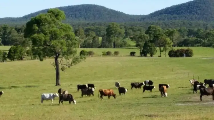 Second view of Homely land listing, 148-153 Fords Road - Glen Williams, Clarence Town NSW 2321