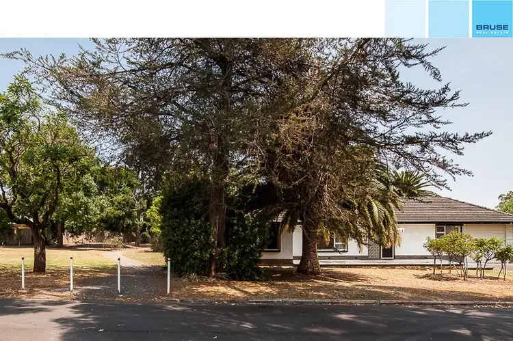 Main view of Homely house listing, 23 Pepper Street, Magill SA 5072