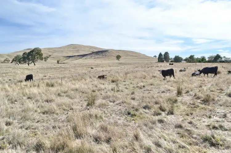 Sixth view of Homely rural property listing, 263 Mount Battery Road, Mansfield VIC 3722