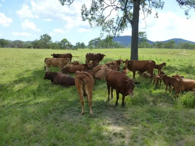 Seventh view of Homely rural property listing, LOT 69 DEGILBO-MUAN ROAD, Degilbo QLD 4621