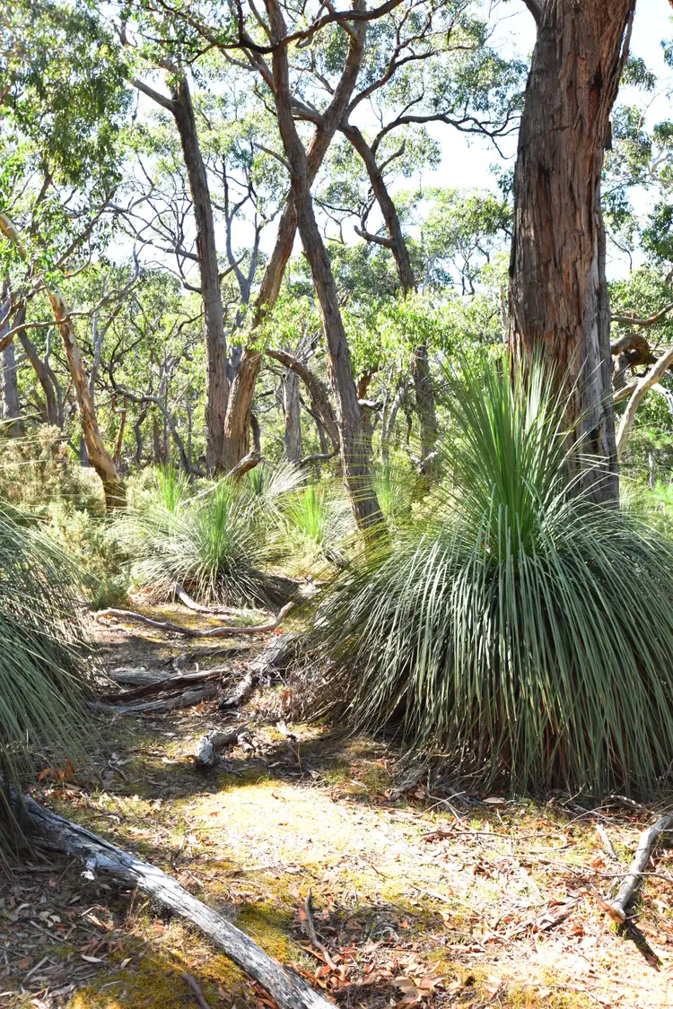 Seventh view of Homely rural property listing, Lot 19 Forest Road, Delamere SA 5204