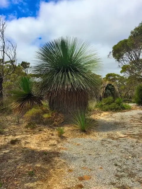 Fifth view of Homely land listing, LOT 104 Para Avenue, Cape Jervis SA 5204