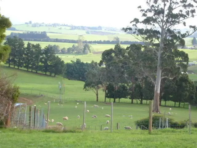 Second view of Homely rural property listing, 444 East Minstone Road, Scottsdale TAS 7260