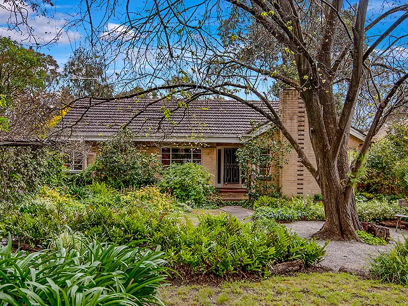 Main view of Homely house listing, 34 Myrtle Grove, Blackburn VIC 3130