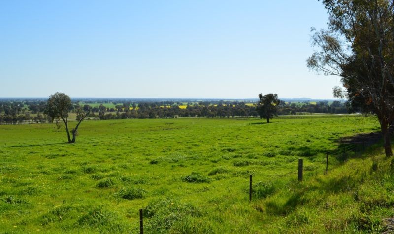 Main view of Homely rural property listing, Gayfer Road, Springhurst VIC 3682