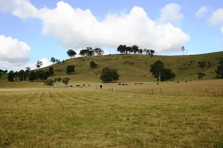 Lot 130 Salisbury Road, Dungog NSW 2420