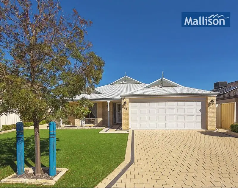 Main view of Homely house listing, 36 Dorchester Turn, Canning Vale WA 6155