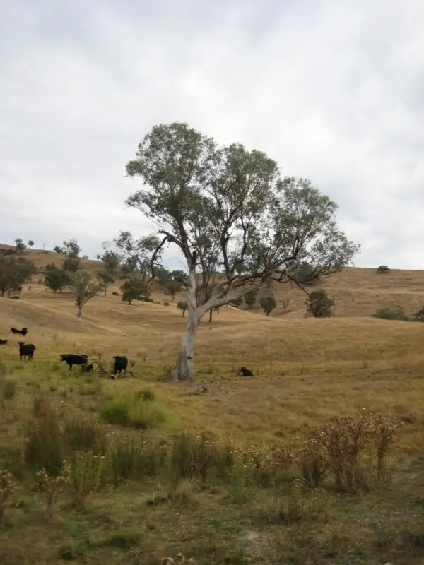 Third view of Homely land listing, Fifeshire Road, Goodhope, Yass NSW 2582