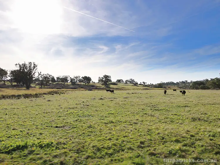 Fourth view of Homely rural property listing, Gelston Park Road, Gelston Park NSW 2650